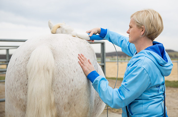 Neurostim für Physiotherapeuten
