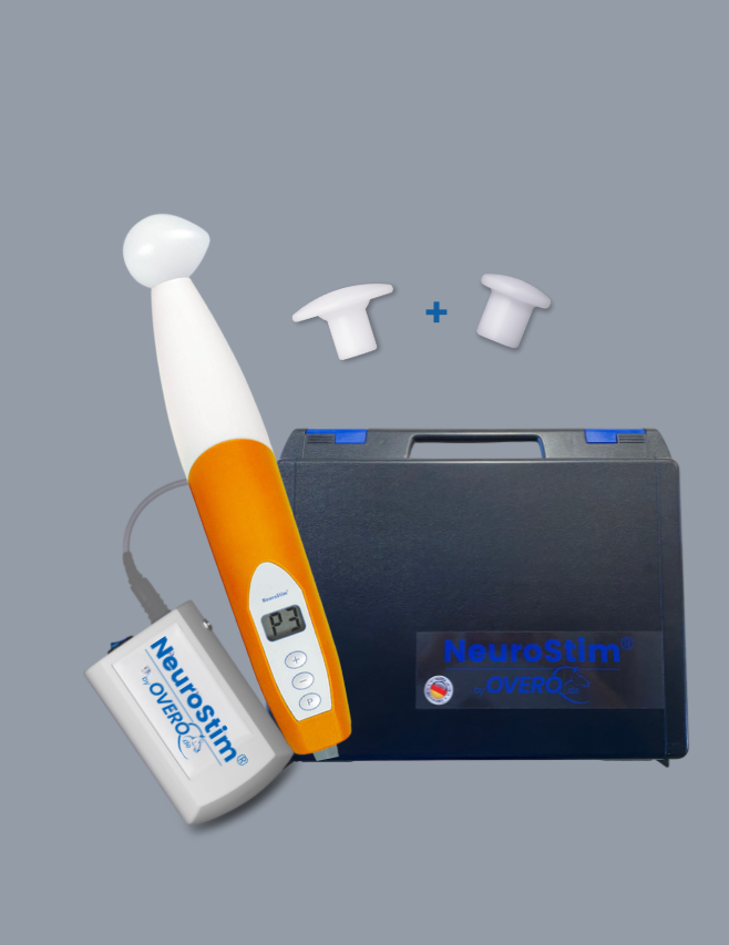 <span class="brand"><strong>NeuroStim<sup>®</sup></strong></span> M21<br/> <small>orange </small>