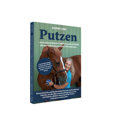 Putzen - Karin Link